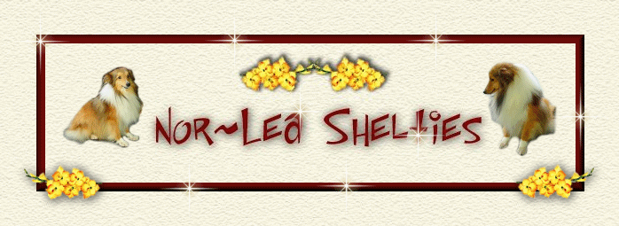 Nor~Lea Shelties
