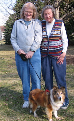 Nor~Lea Shelties