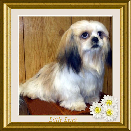 Nor~Leas Little Lena