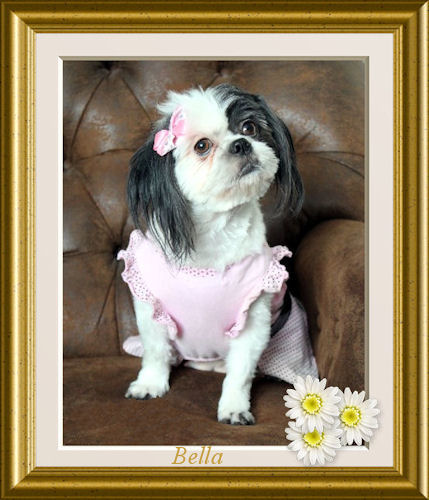 Nor~Leas Little Bella