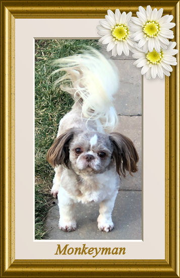 Nor~Leas Little Lucy